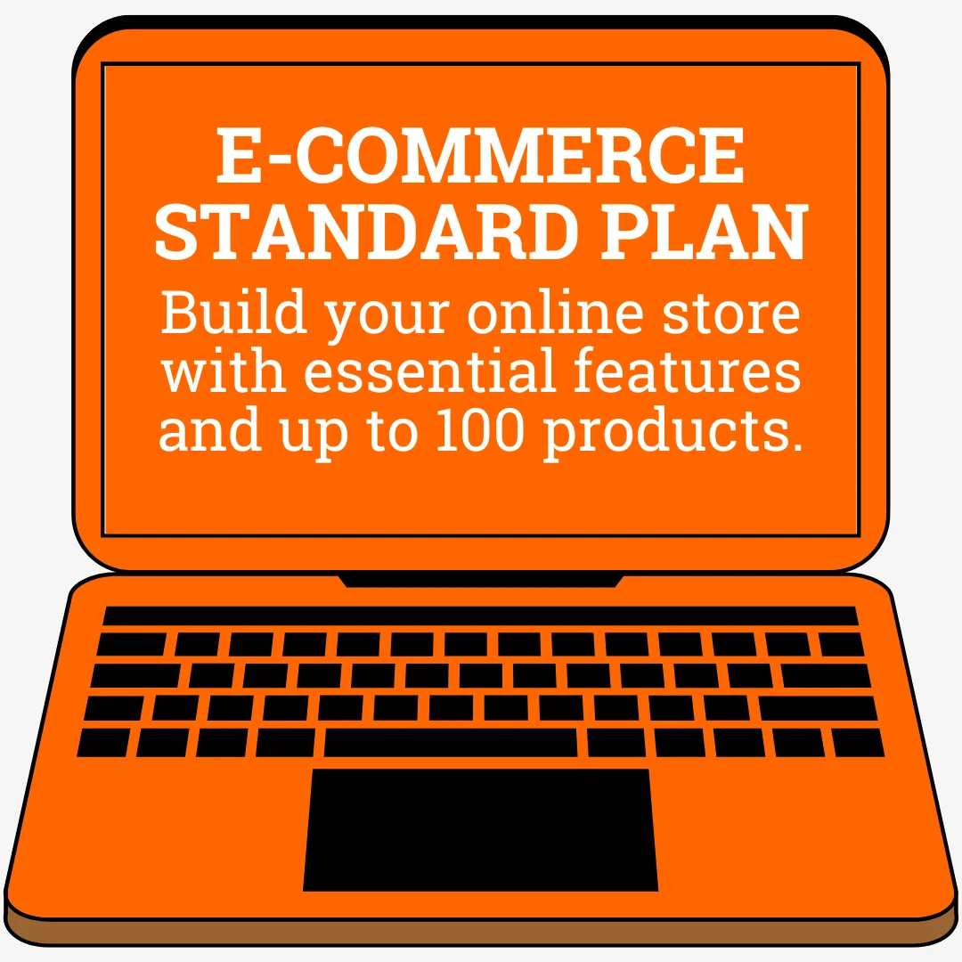 E-commerce Standard Plan